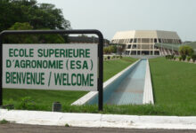 École Supérieure d'Agronomie (ESA)
