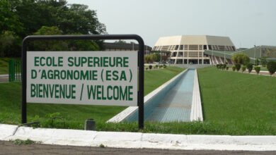 École Supérieure d'Agronomie (ESA)