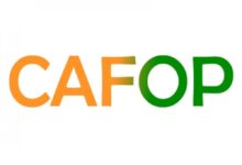 Concours CAFOP 2023 : les inscriptions en novembre 2022